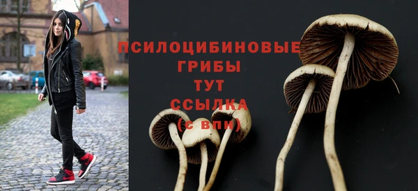 молекула духа Нефтекумск