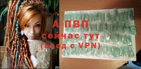 молекула духа Нефтекумск