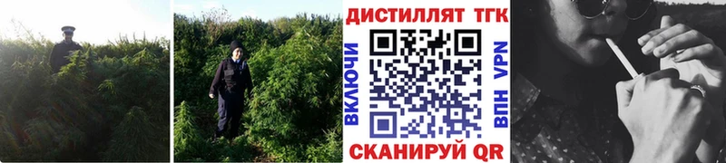 Дистиллят ТГК жижа darknet наркотические препараты Владивосток