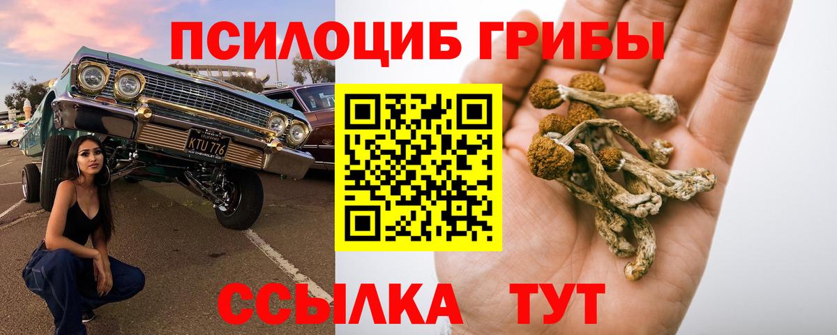 закладки  Вход с VPN  Владивосток  Псилоцибиновые грибы мицелий 