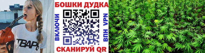Канабис ГИДРОПОН  кракен ссылки  Владивосток 