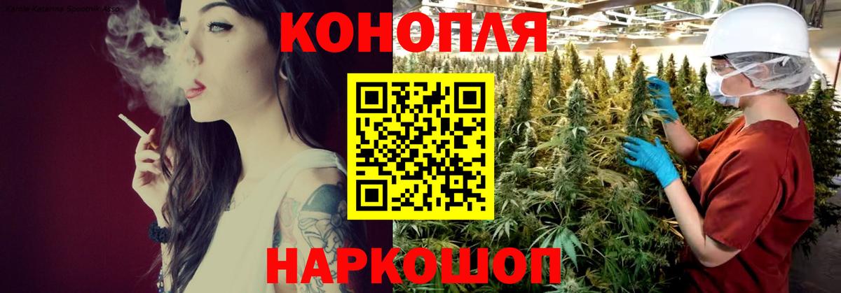 Бошки Шишки White Widow  Марихуана MAZAR  Каннабис White Widow  Каннабис White Widow  Владивосток 